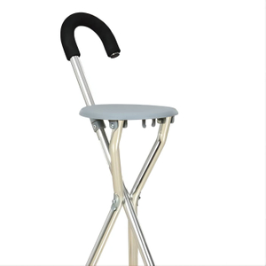Folding With A Seat Cane For Stability